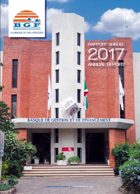 Rapport Annuel 2017